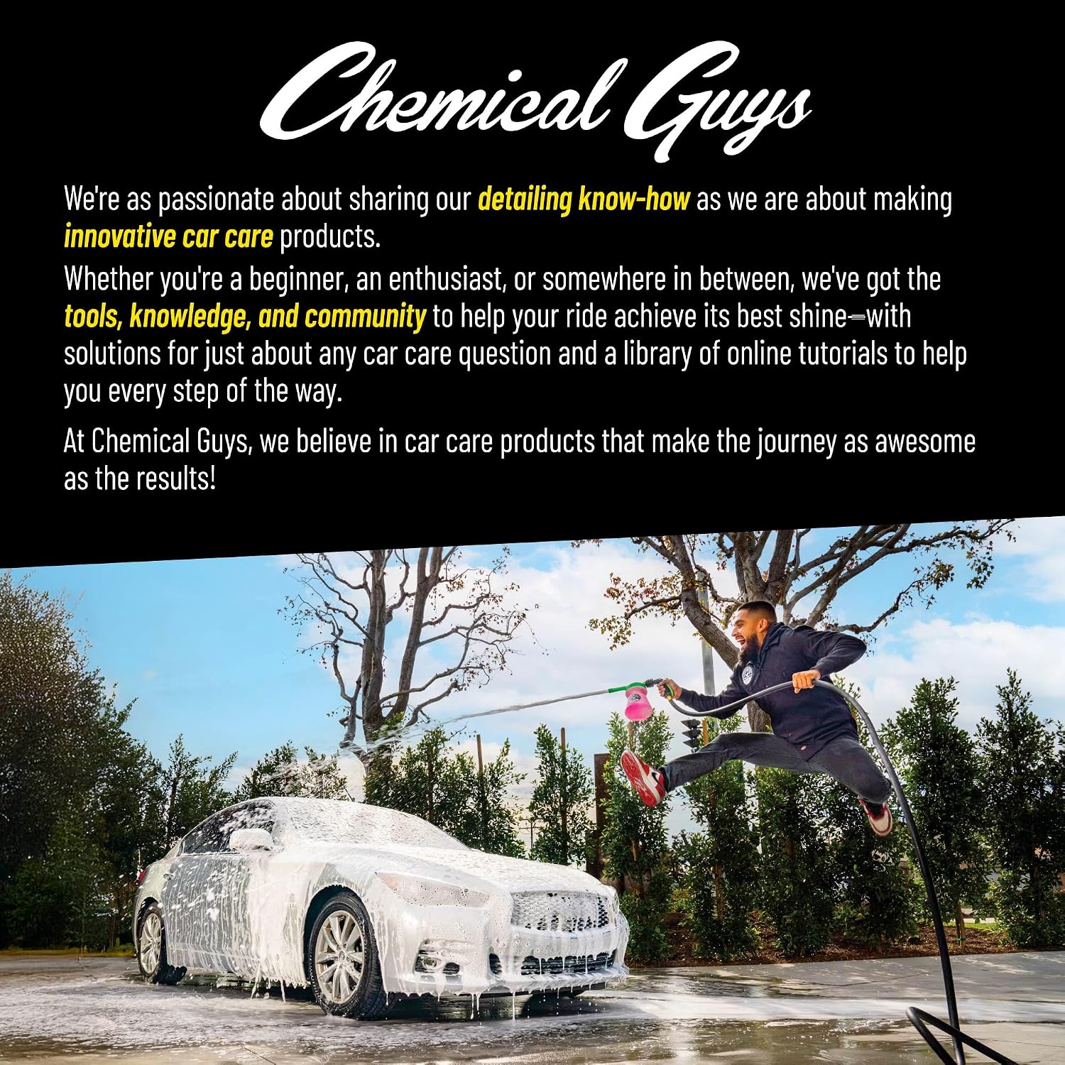 Chemical Guys, Wheelie Wheel & Exterior Brush for Rims & Tires